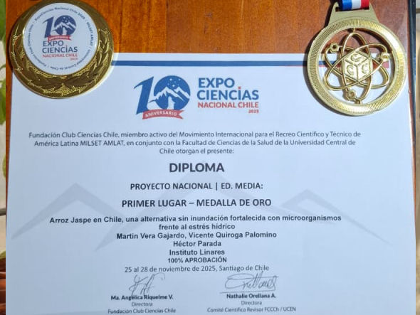 Diploma Primer Lugar